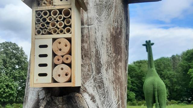 Jardin des Prairiales - Maison à insectes