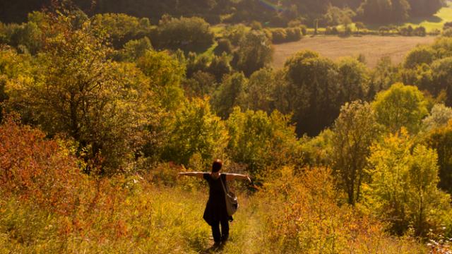 Réserve naturelle de Montenach