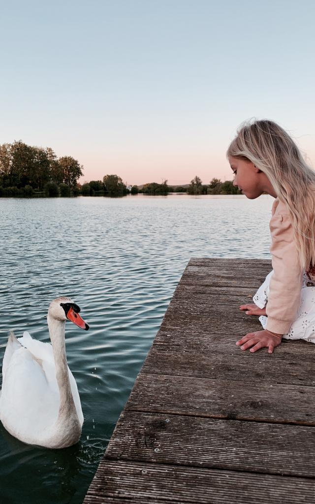 Berge de moselle - Rencontre avec un cygne