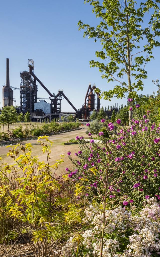 Jardin des Traces