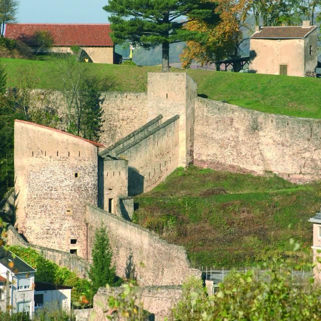 Château Des Ducs De Lorraine - Tour Schall