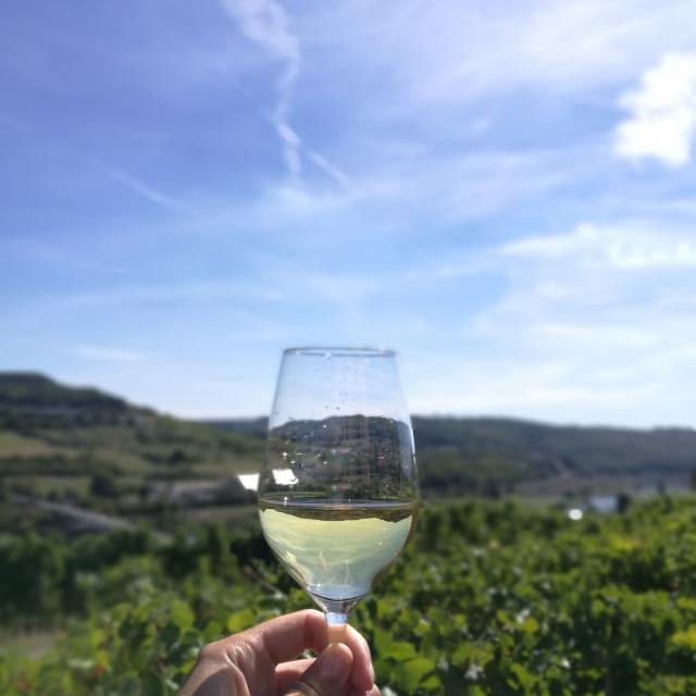 Rando du Schluck - Vin de Moselle