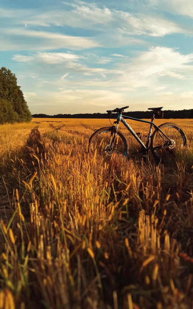 Se déplacer à vélo au Pays Thionvillois