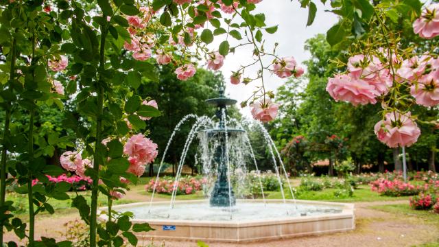 Parc napoléon - Thionville