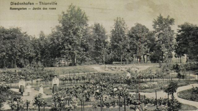 Rosengarten - Parc Napoléon - Thionville