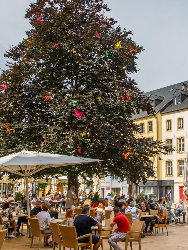 Place Anne Grommerch - Thionville