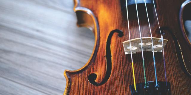 Violon