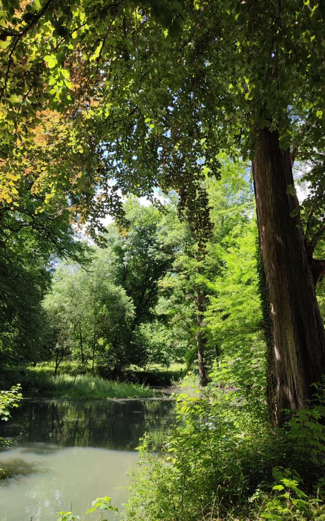 Parc du Château de Preisch