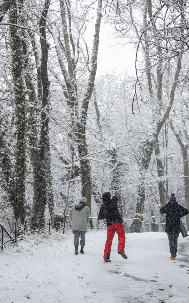 Neige au Pays Thionvillois