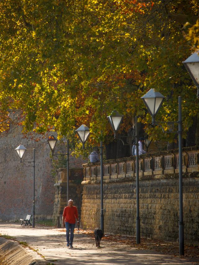 20181008 Automne Parc Wilson Napoleon Et Eglise Saint Maximin 041