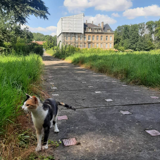 Rebelle, gardienne du Château de la Grange