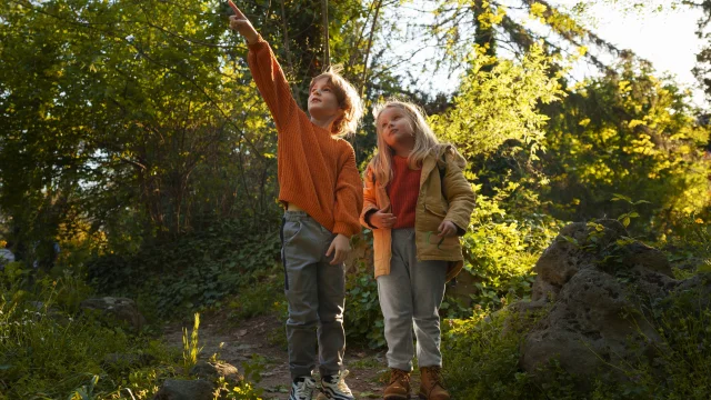 Pleine Photo Enfants Explorant Nature Ensemble