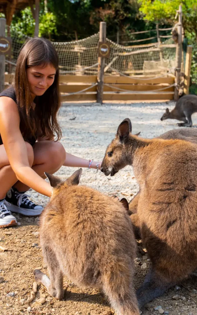 Zoo d'Amnéville